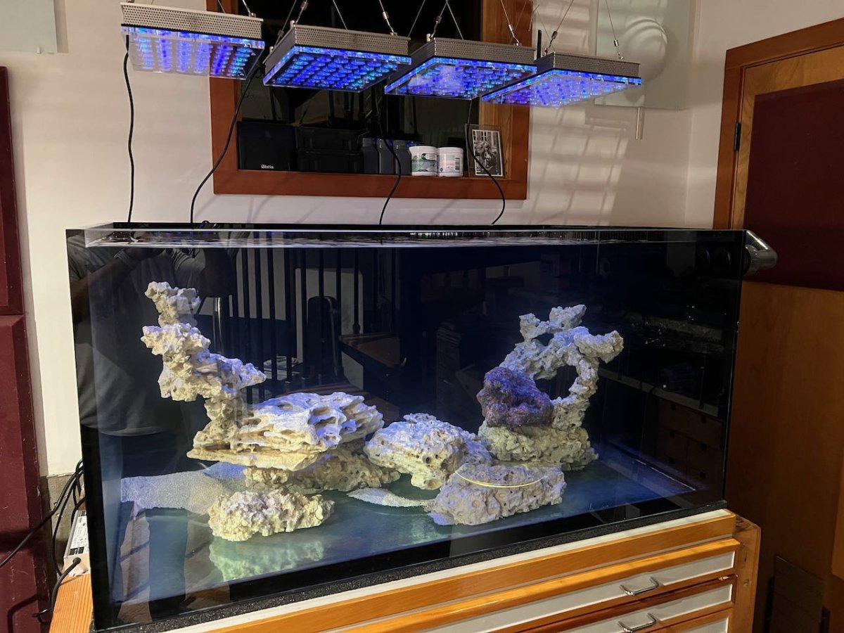 Build Thread Glass Cages SPS Dominant 200 Total with Fish Room