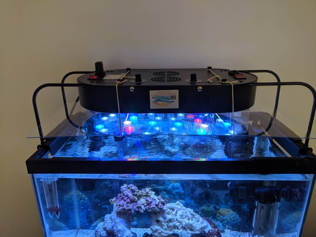 Heaters During the Summer REEF2REEF Saltwater and Reef Aquarium Forum