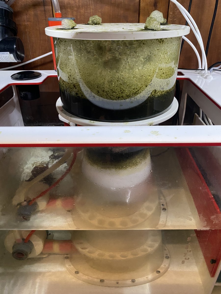 Vertex omega 250 skimmer tuning advise REEF2REEF Saltwater and Reef