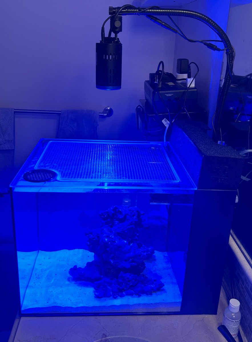 Waterbox AIO 15 Set Up Beginner REEF2REEF Saltwater and Reef
