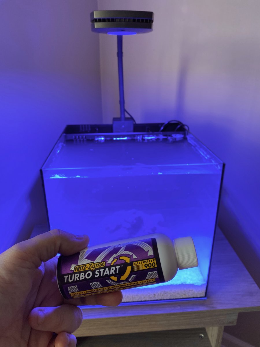 Cube Build Shaggy's Waterbox Cube 10 +Plus Build REEF2REEF
