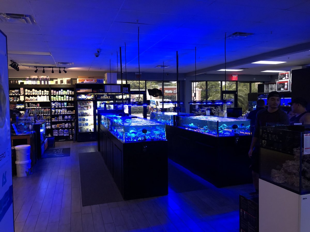My visit to Top Shelf Aquatics REEF2REEF Saltwater and Reef Aquarium
