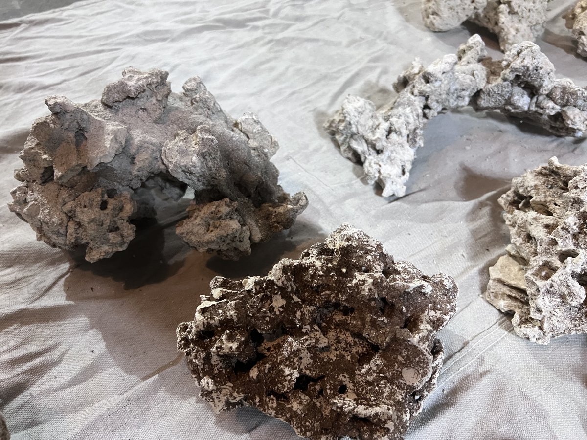 California Dry Live rock Bleach cured local pickup only