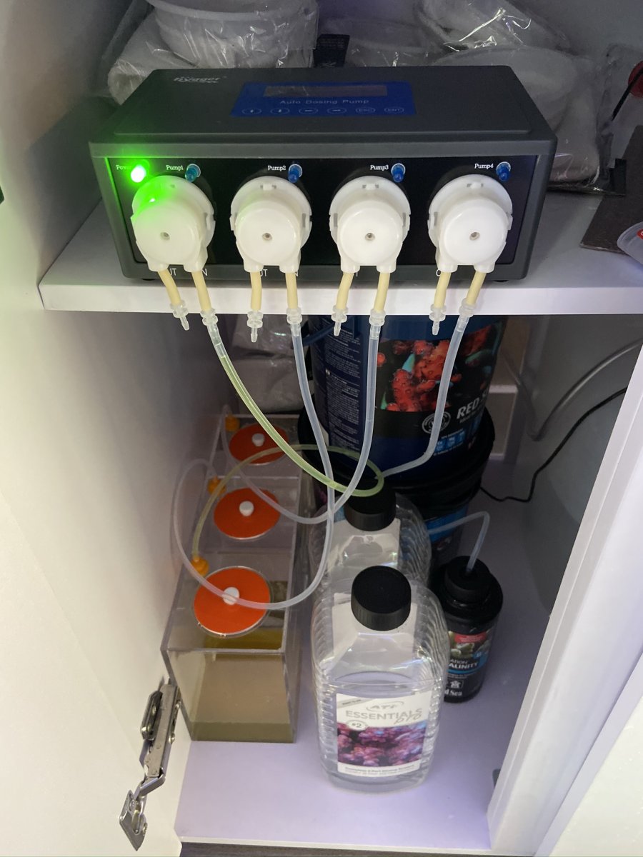 Hygger 67 4 Line Auto Dosing Pump Review & Information & a general