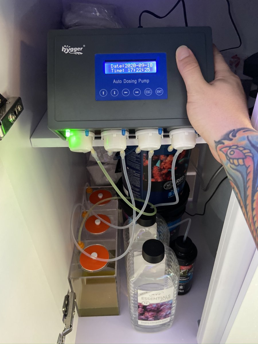 Hygger 67 4 Line Auto Dosing Pump Review & Information & a general