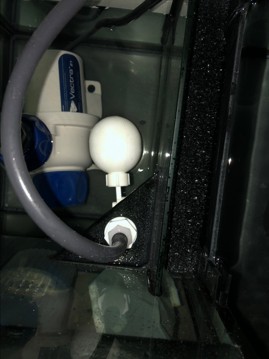 How do you adjust the valve, float & what is the correct water level on