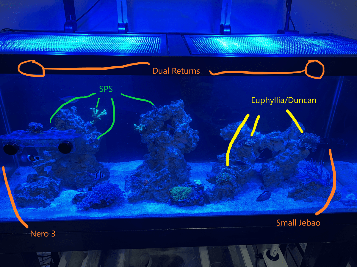 Looking for help with flowpowerhead placement suggestions REEF2REEF