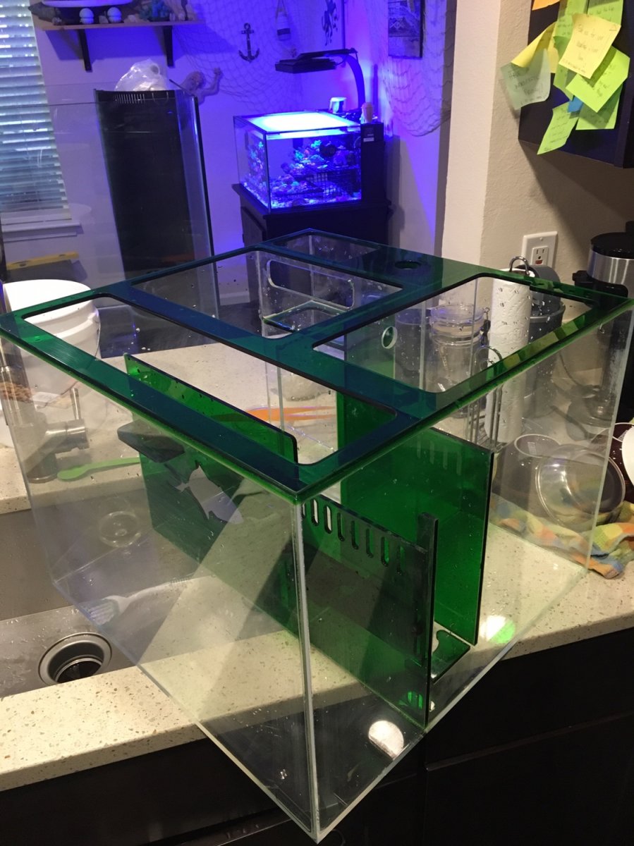 Build Thread Another 60 gallon Cube Tank build REEF2REEF Saltwater