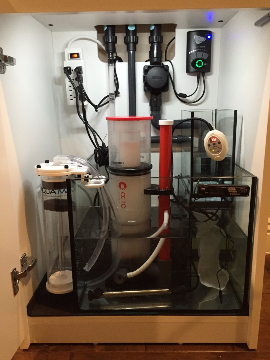 Build Thread BCRIBS Red Sea Reefer 170 Build Thread REEF2REEF