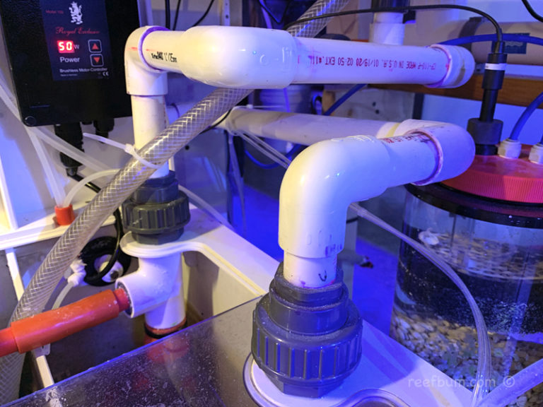 Top 10 Tips For Glueing PVC Pipe ReefBum