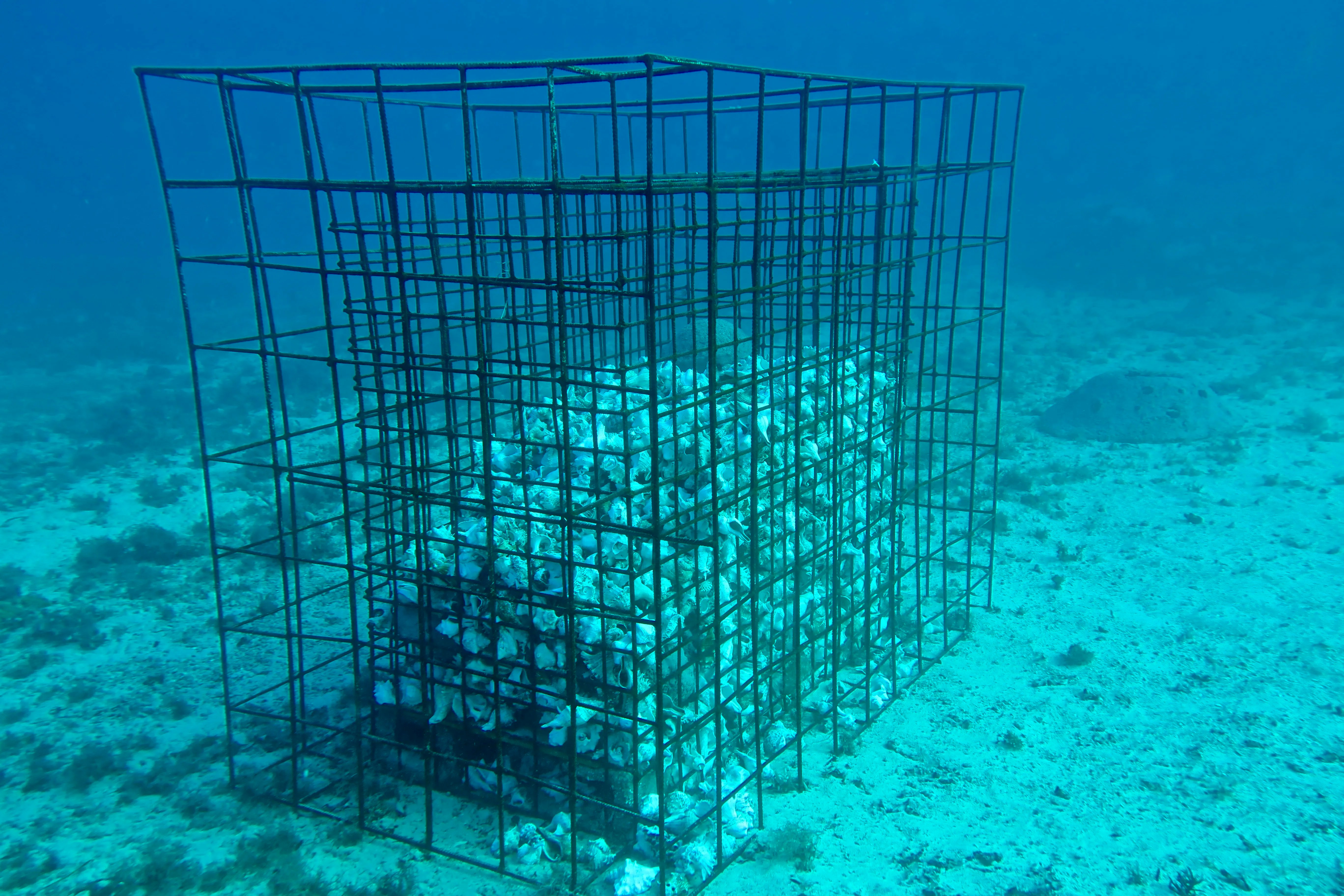 Artificial Reef Site Gains New Habitat Enhancement Structures