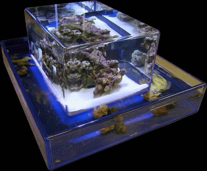 The Infinity Zero Edge Aquariums