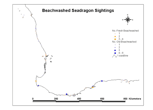 Dragon Search Western Australia Database Analysis