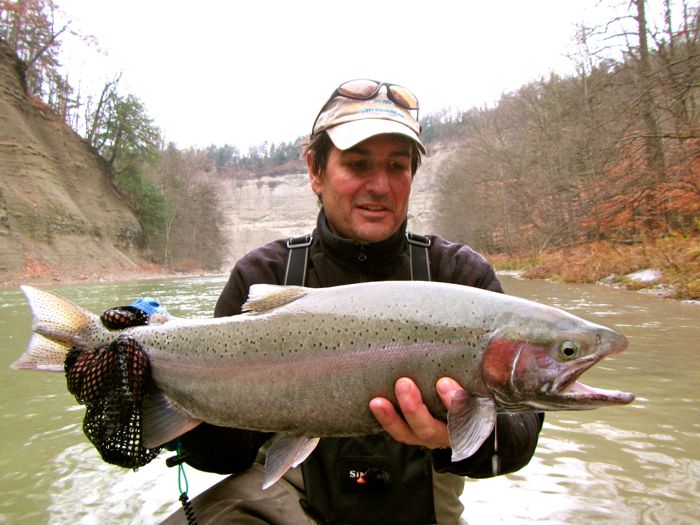 FLY FISHING GREAT LAKES STEELHEAD Fly Fishing Steelhead Alley Fly