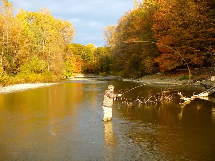 FLY FISHING GREAT LAKES STEELHEAD Fly Fishing Steelhead Alley Fly Fishing Lake Erie Fly