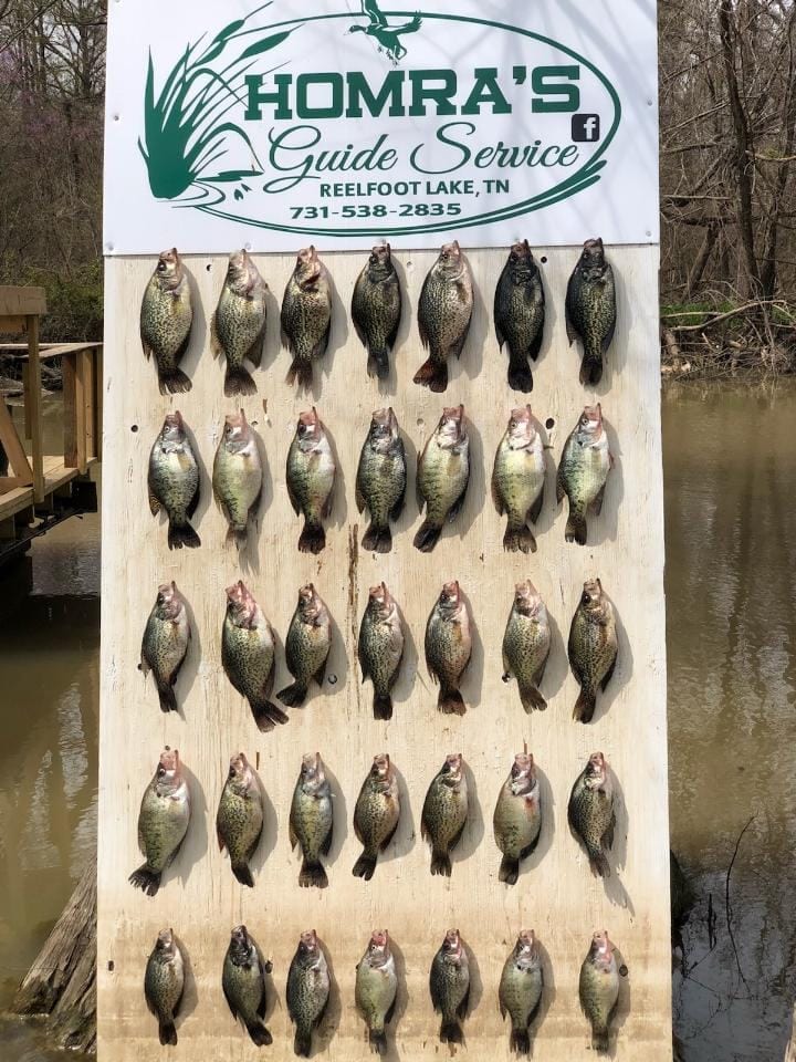 About Reelfoot Lake Guide Service