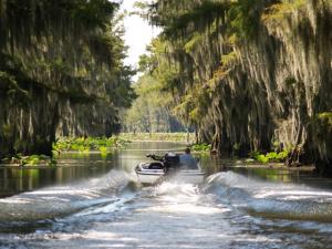 Caddo Lake Cooler Water Temps