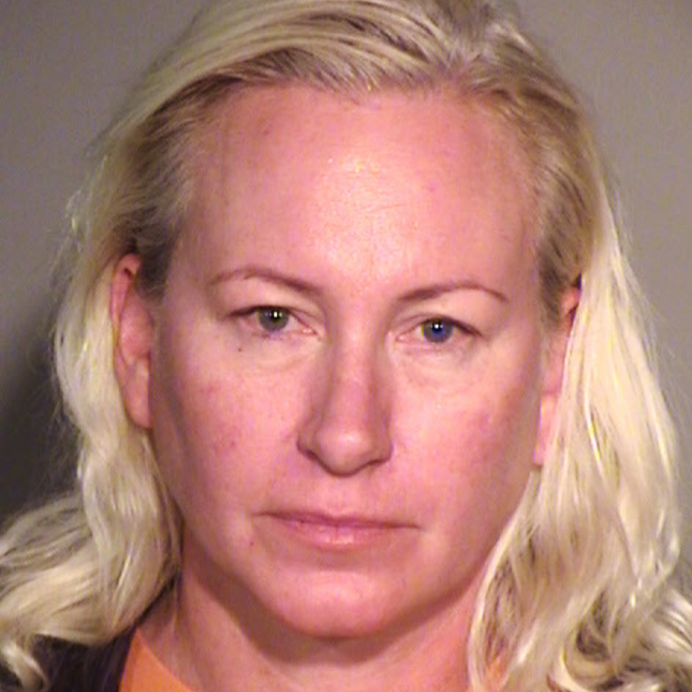 Local Real Estate Agent Sentenced for Stealing Construction Funds