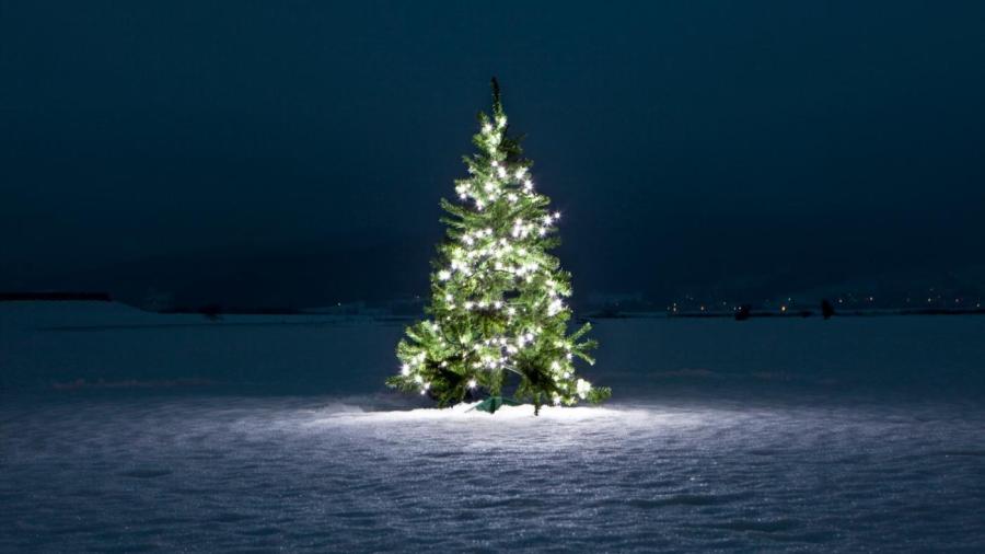 What Does the Christmas Tree Symbolize?