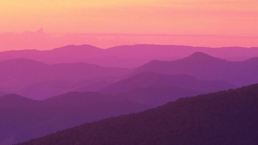 What Does the Color Mauve Look Like?