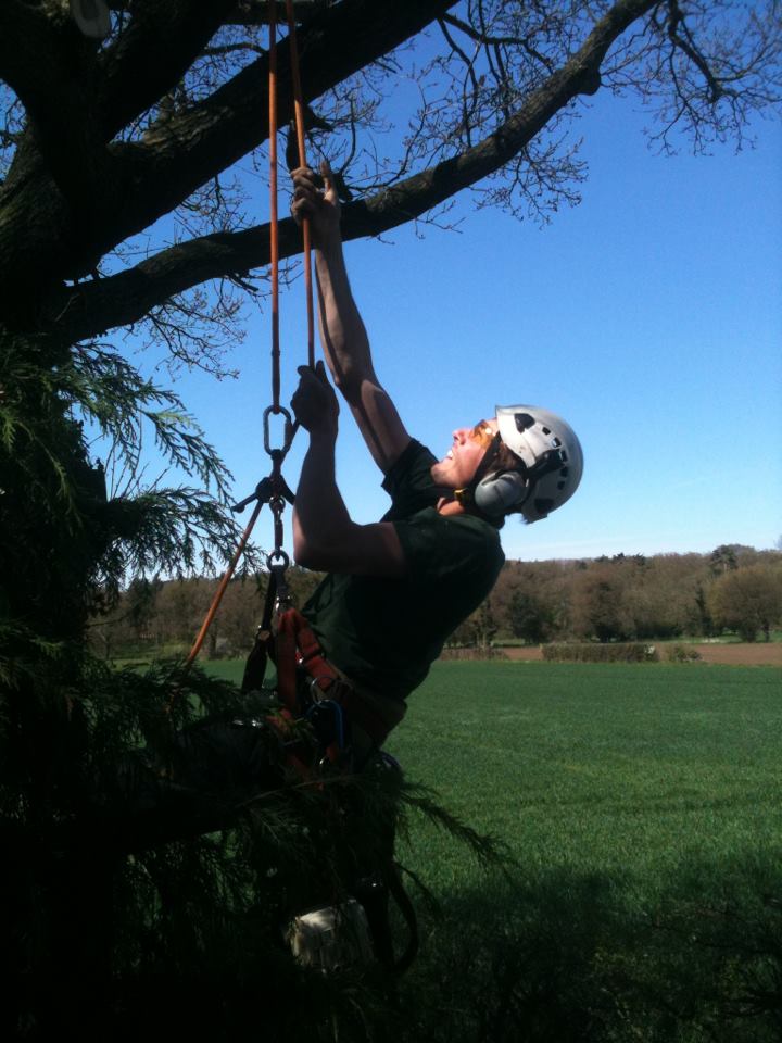 Eastern Tree Care is a member of Trading Standards Norfolk Trusted