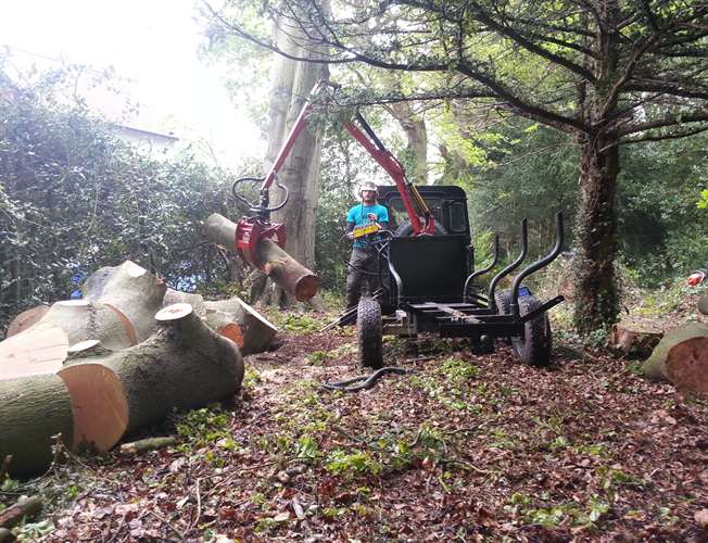 Eastern Tree Care is a member of Trading Standards Norfolk Trusted