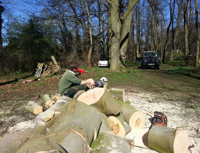 Eastern Tree Care is a member of Trading Standards Norfolk Trusted