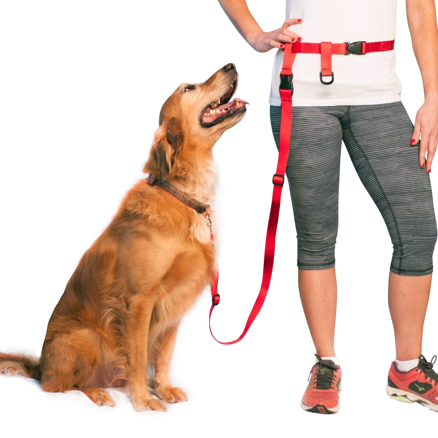 The Buddy System + Adjustable Hands Free Dog Leash, Hand