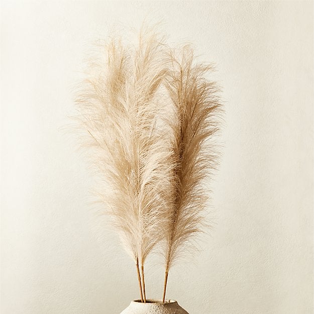 CB2 + Set of Three Faux Pampas Grass Stems