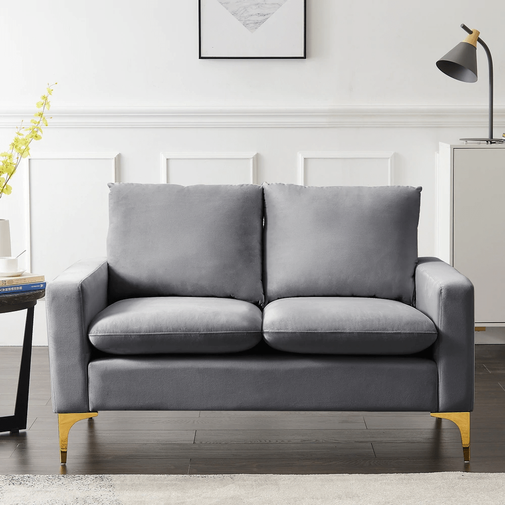 Overstock + Modern Classic Velvet Loveseat