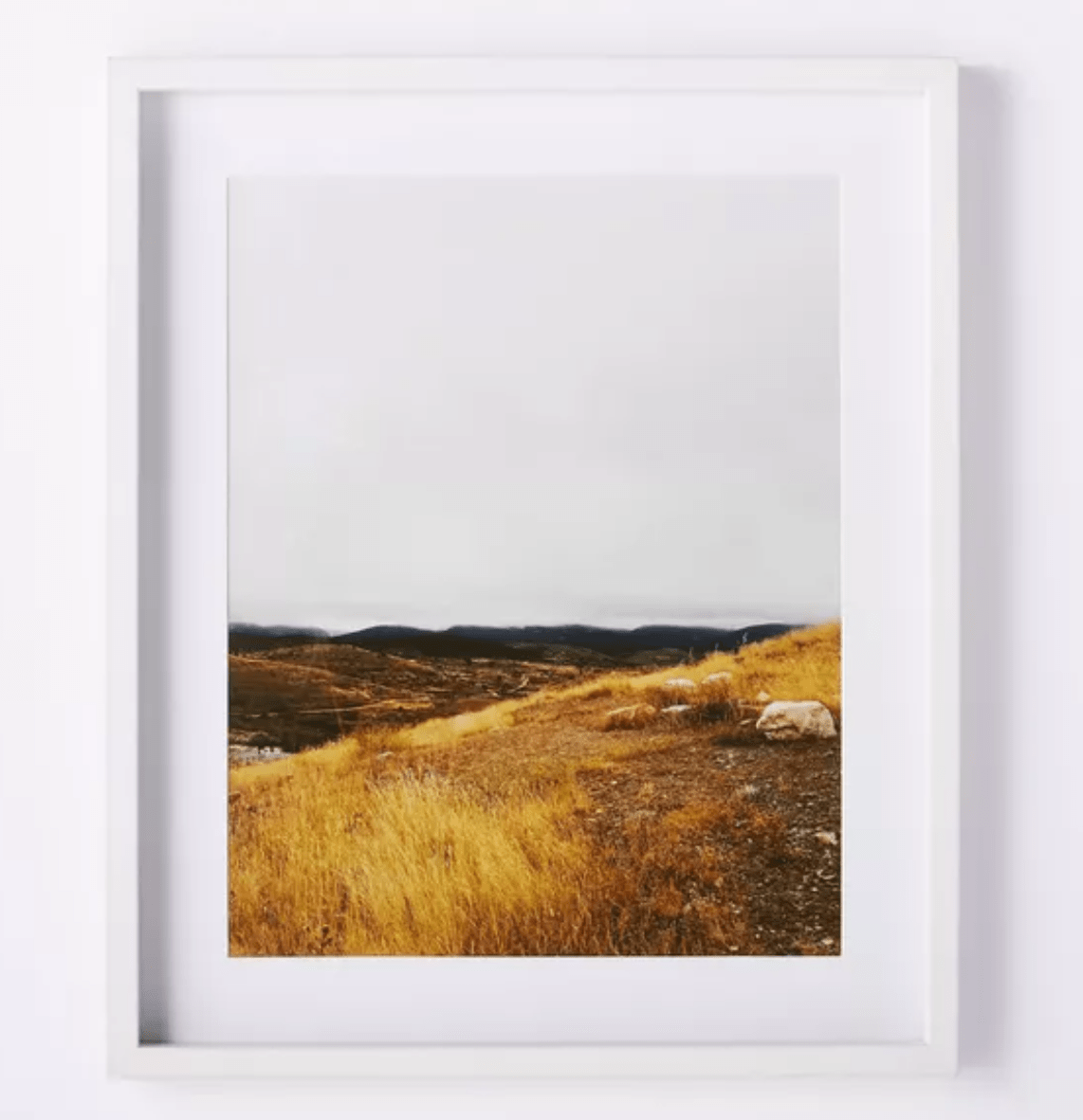 Threshold designed w/Studio McGee + Meadow Framed Wall Art