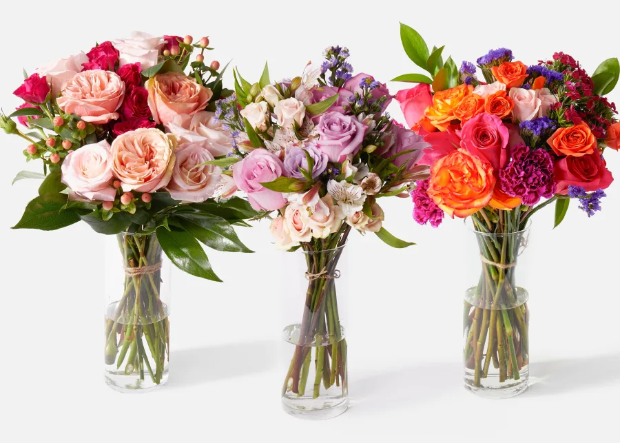 Urbanstems + Classic Subscription (3 Deliveries)