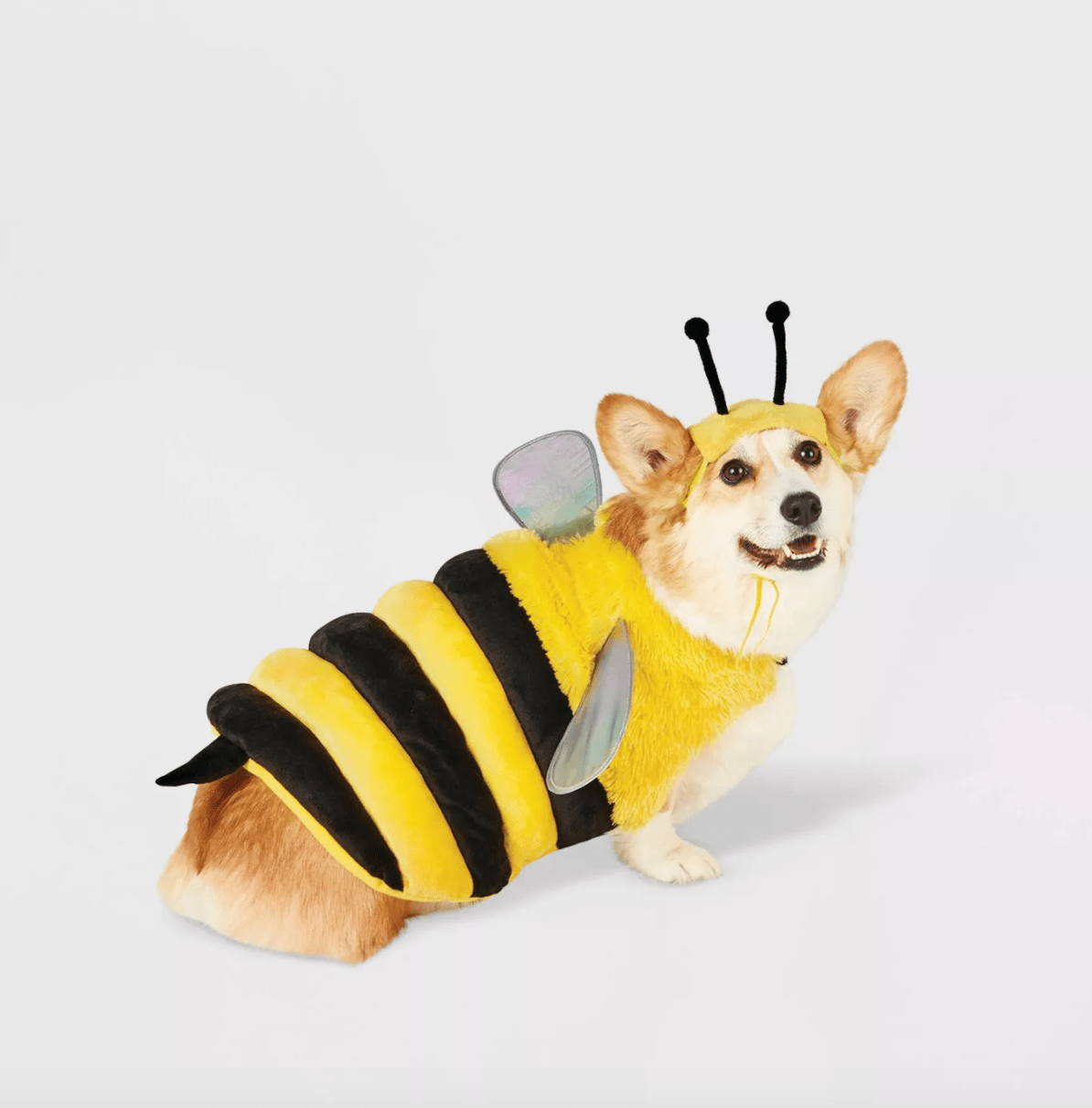 Hide & Eek! + Bee Full Body Dog and Cat Costume