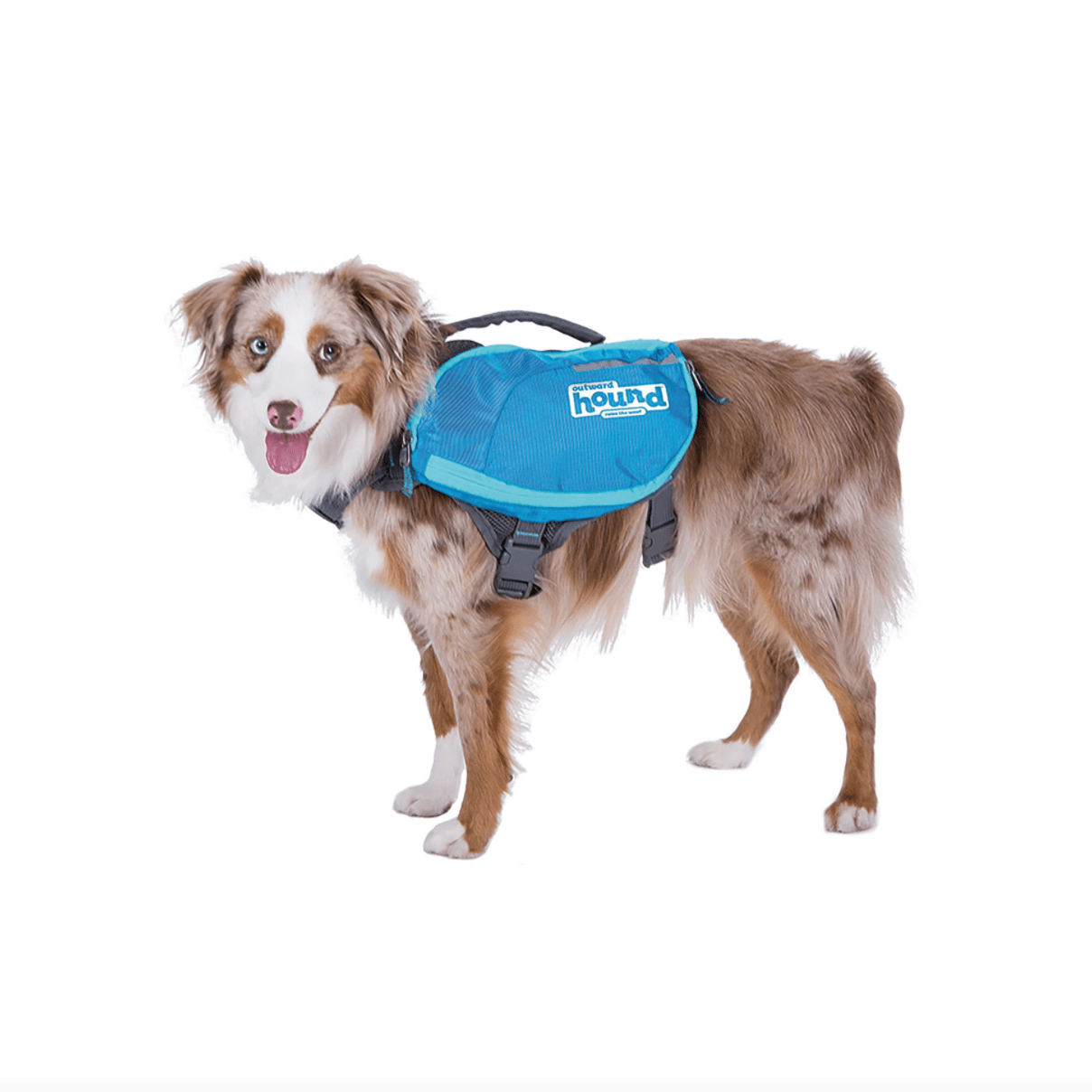 Outward Hound + Daypak Blue Backpacks for Dogs, Medium