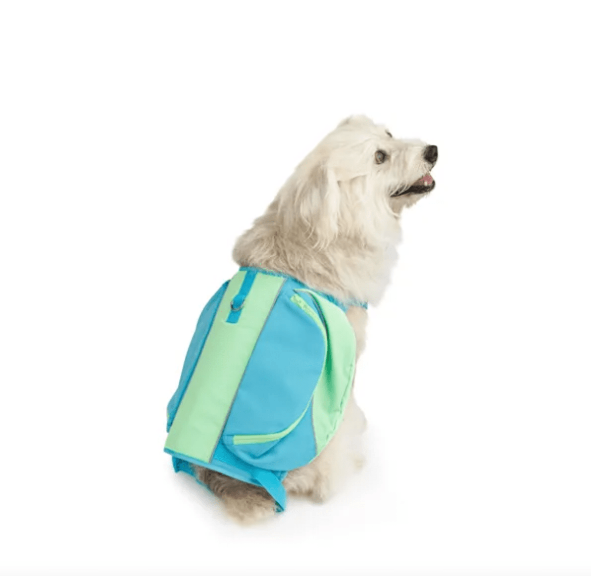 YOULY + The Adventurer Dog Backpack Harness, Medium