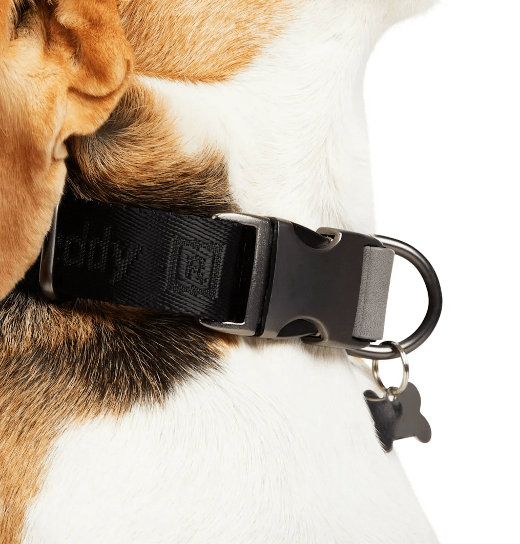 What Is A Good Dog Collar