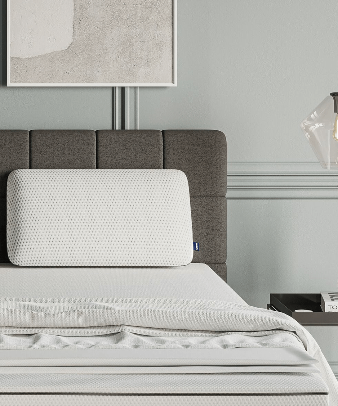 Emma Sleep + Foam Pillow