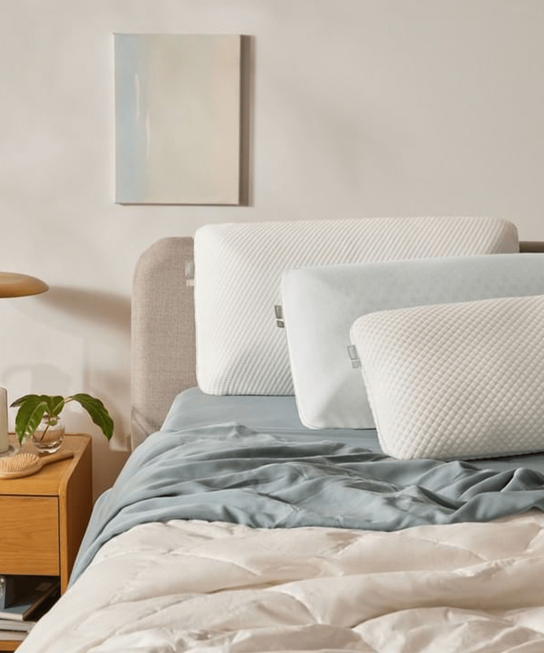 Koala + The Koala Pillow