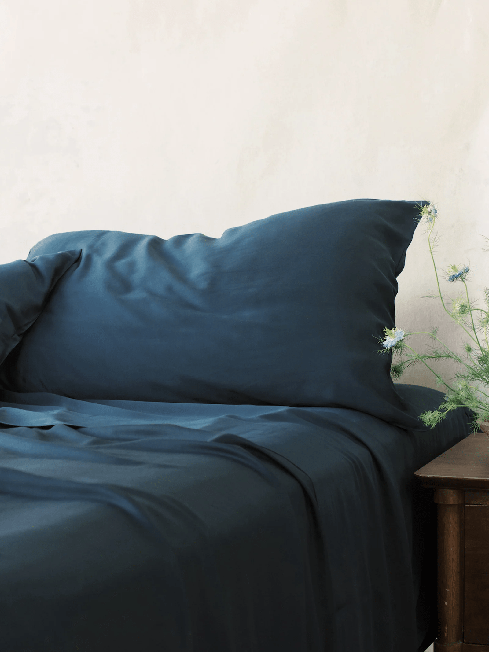 Cozy Earth + Queen Bamboo Sheet Set