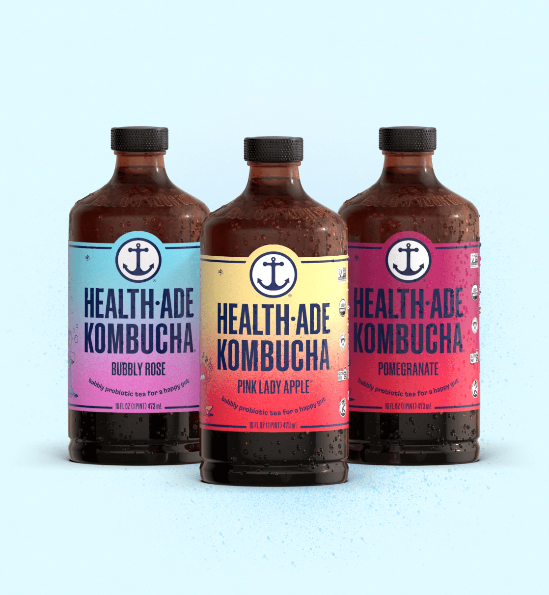 HealthAde + Kombucha Signature Variety Pack (12 Pack)