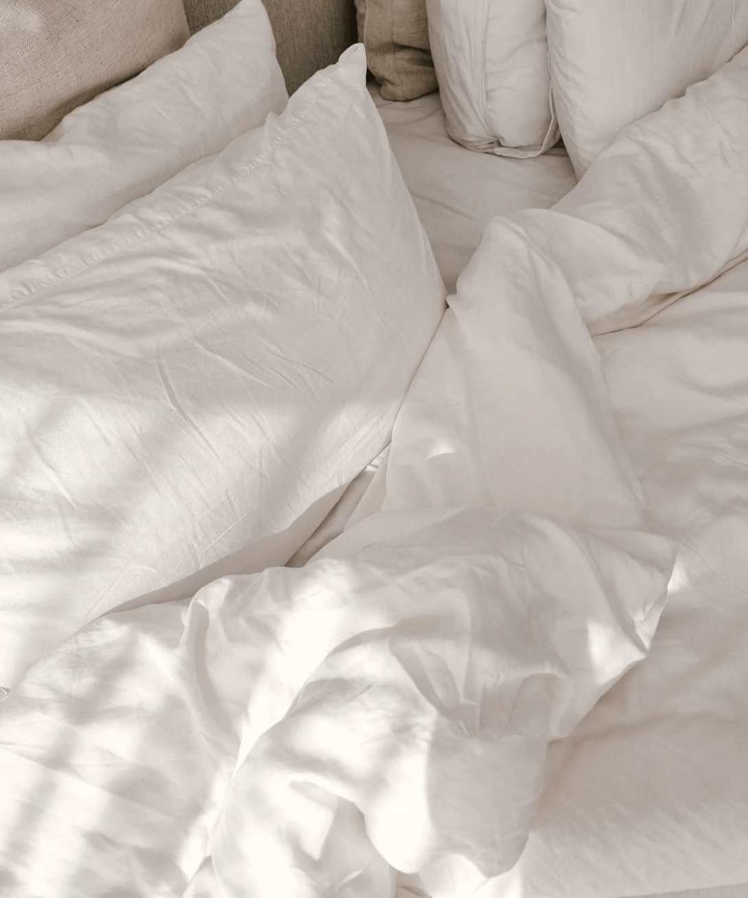 Ecosa + Luxe Silk Quilt (single)