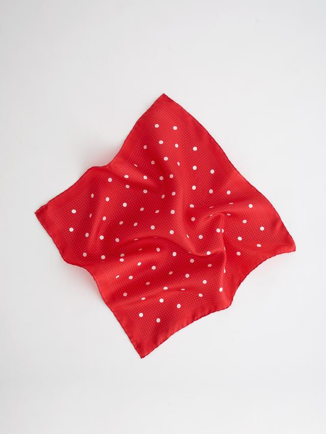 Alex Mill + Italian Silk Scarf