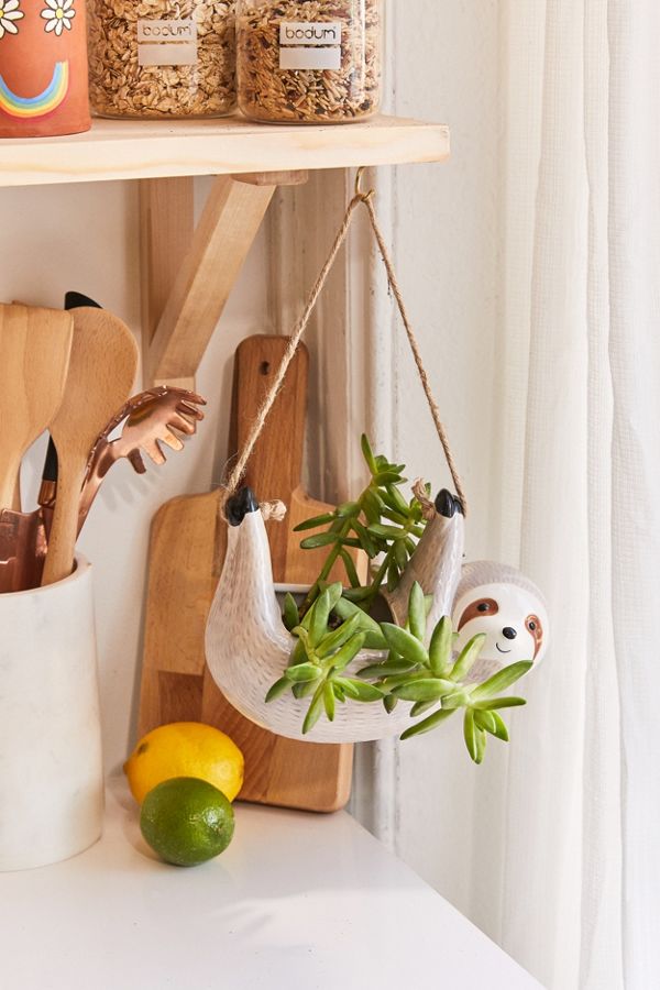 Urban Outfitters + Sloth 4.25″ Hanging Planter