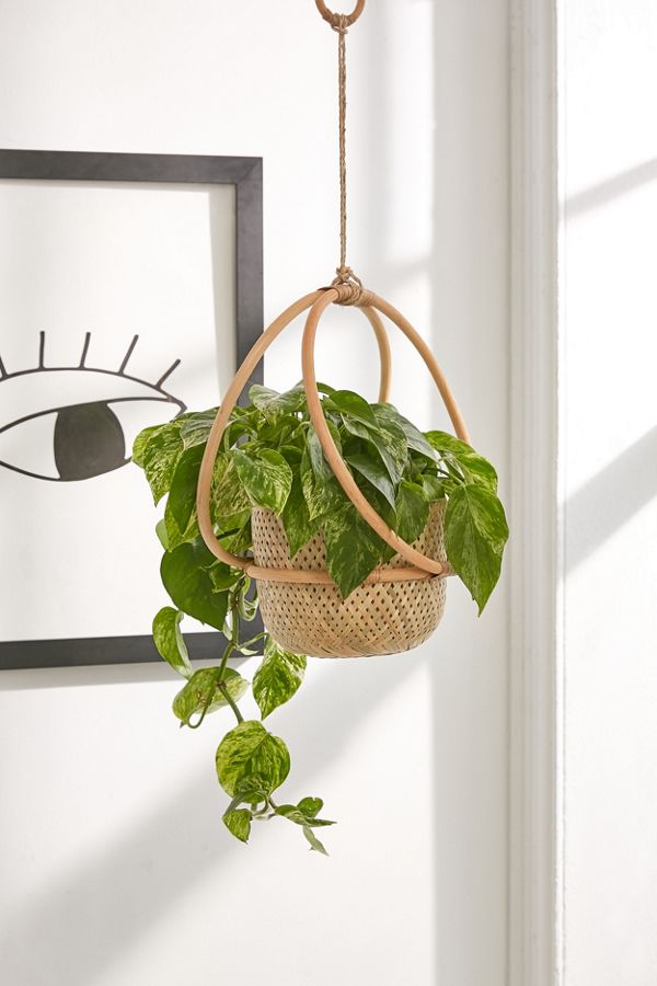Urban Outfitters + Margot Hanging Planter
