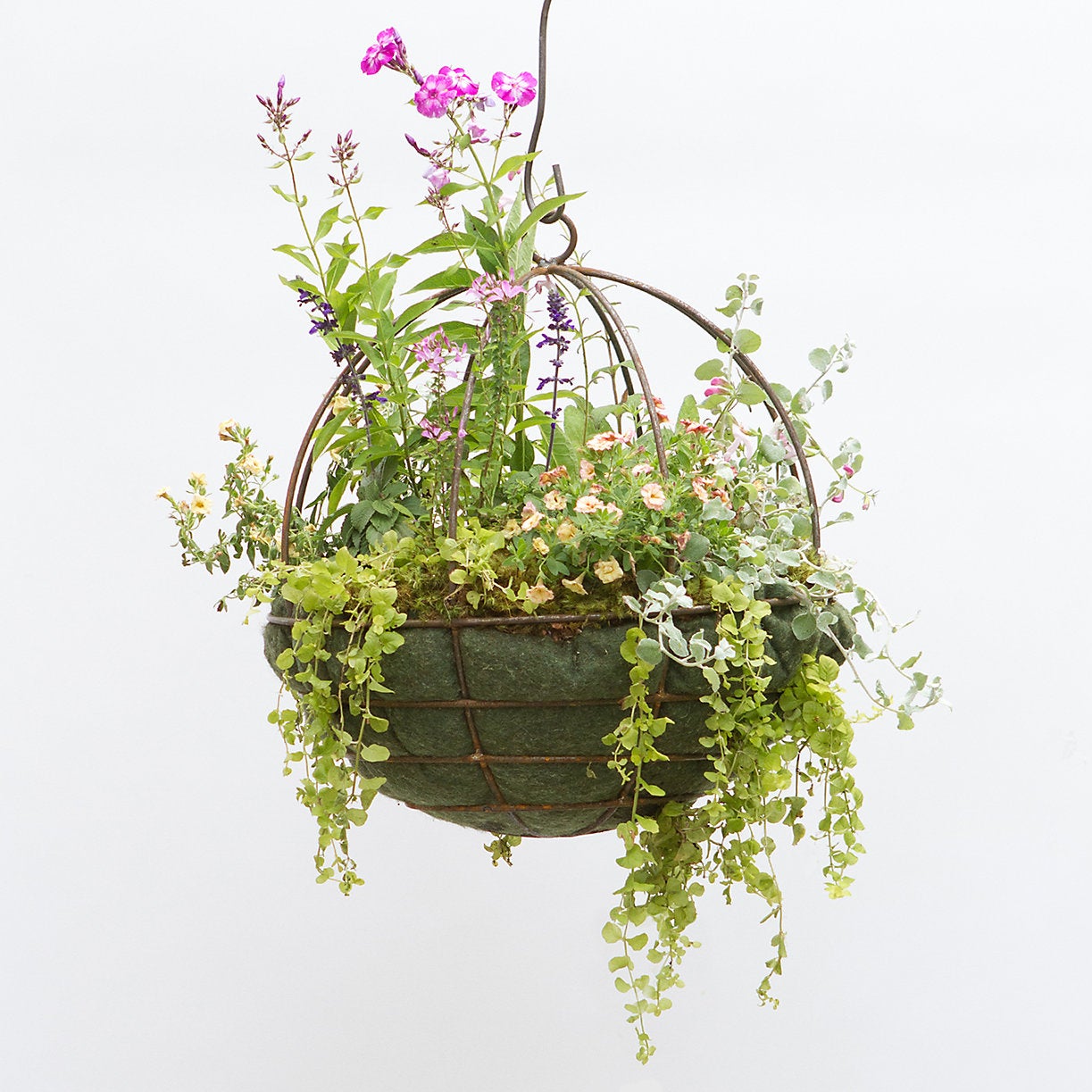 Terrain + Sphere Hanging Basket