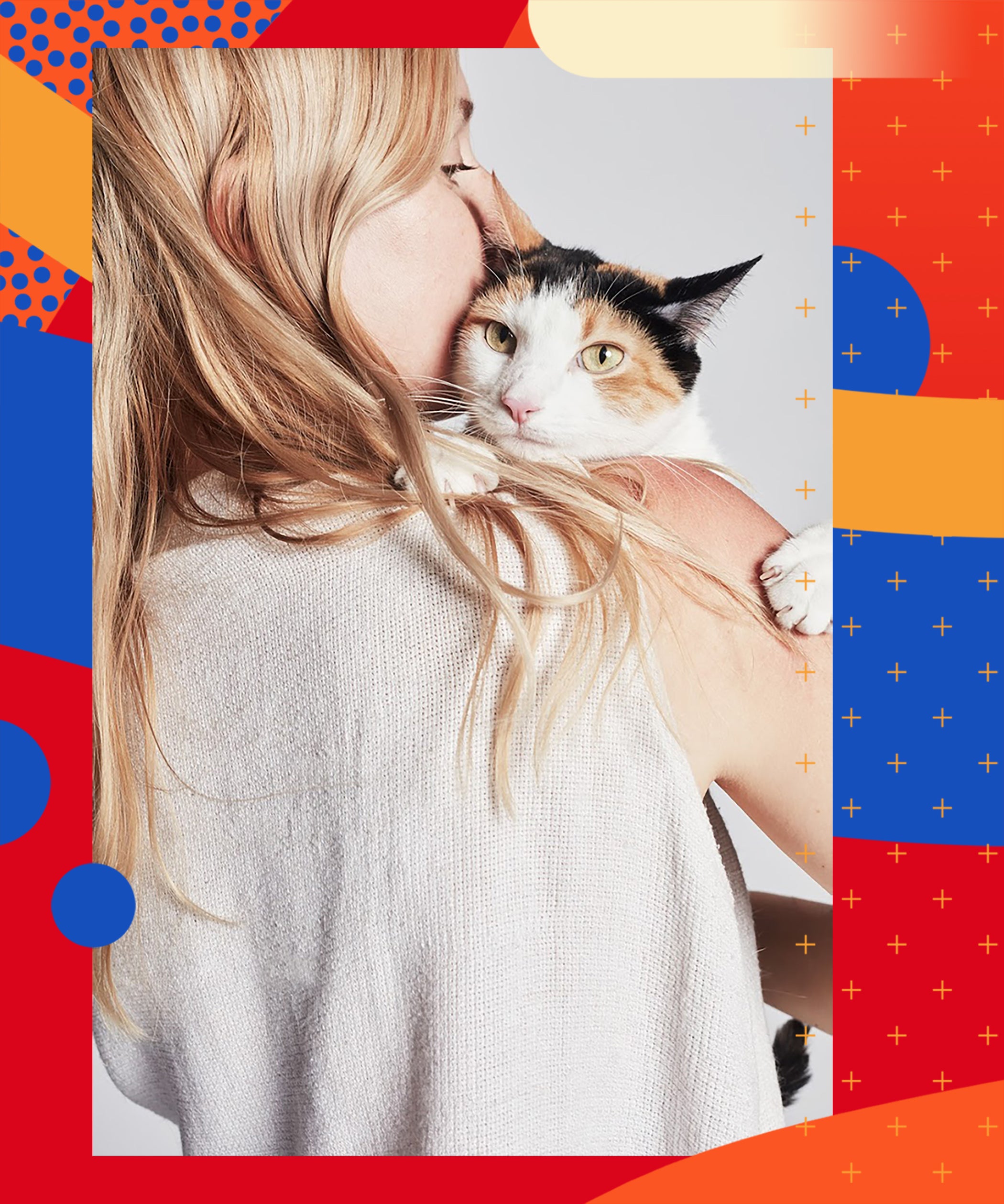 Pet Brands That Give Back To Animals In Need