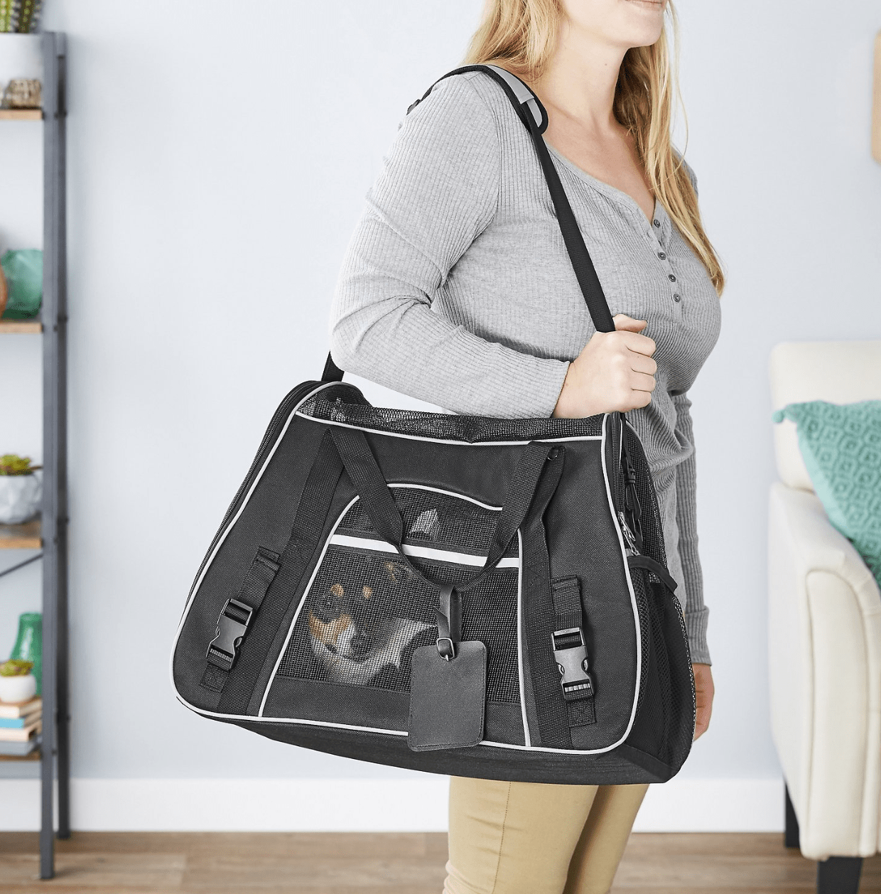 Frisco + Basic Pet Carrier