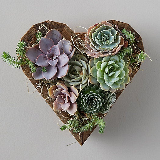 Terrain + Succulent Heart Garden