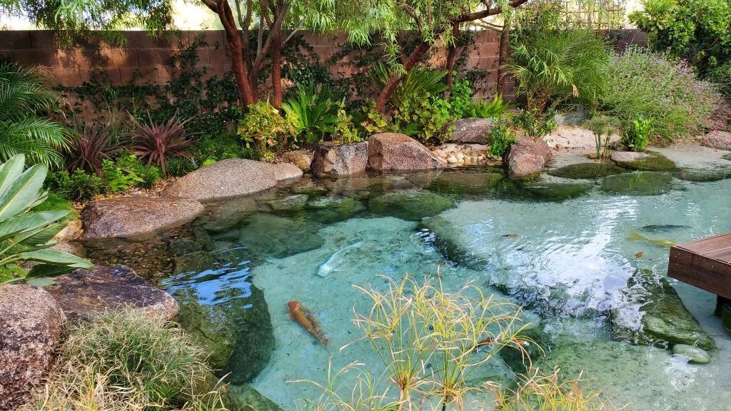 9 Ways to Make Your Pool EcoFriendly Reflections Water Gardens