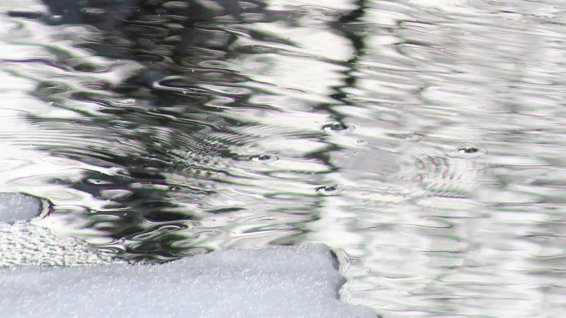 Winterizing Your Natural Pool or Koi Pond for Cold Weather